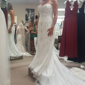 Maggie Sottero Wedding Gown with veil